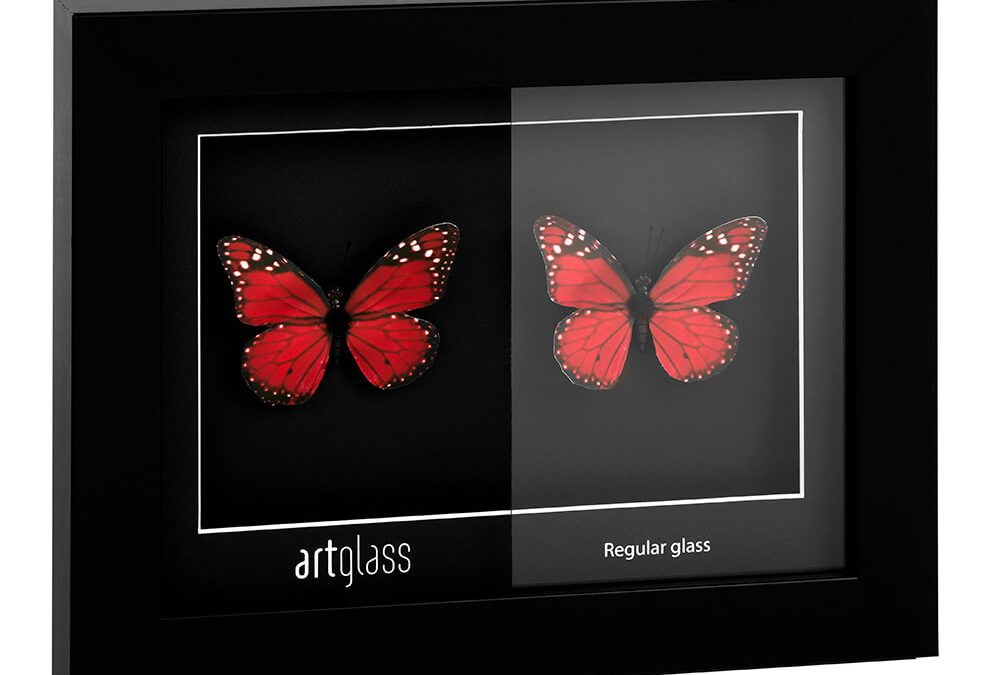 Butterflys displayed in a frame