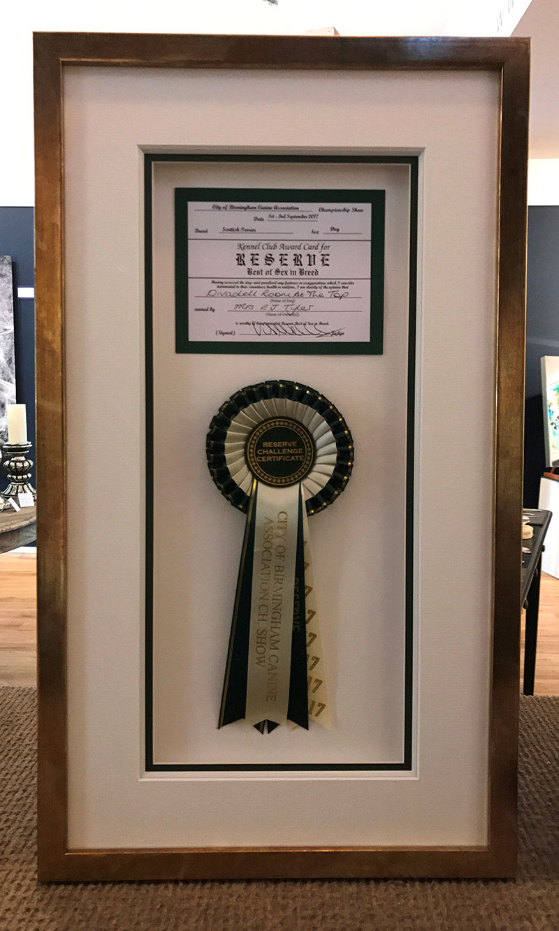 Rosette and certificate in a brown frame