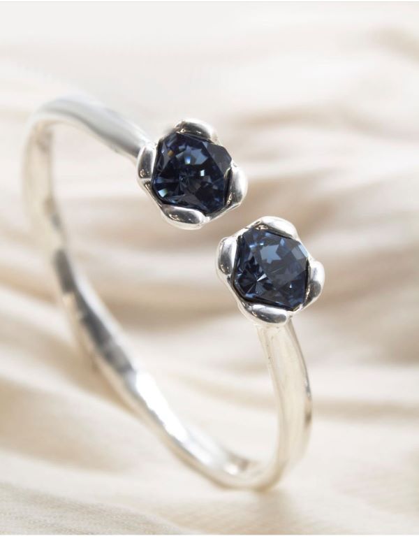 a silver ring with 2 blue gen stones