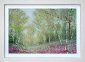 Chris Bourne The Woodland Lights up in an off white box frame