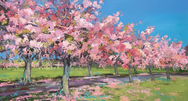 Sun on Cherry Trees by Judith Bridgland