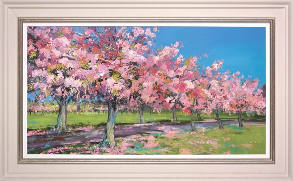 Sun on Cherry Trees by Judith Bridgland on a cream frame