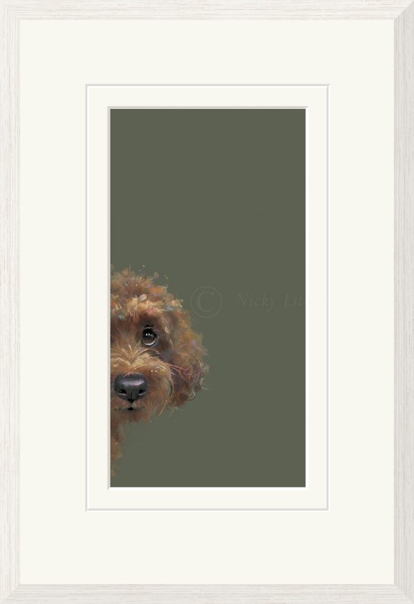 Taking a Peek Nicky Litchfield. Cockapoo with sage green background