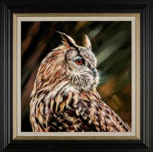 Long eared owl watching