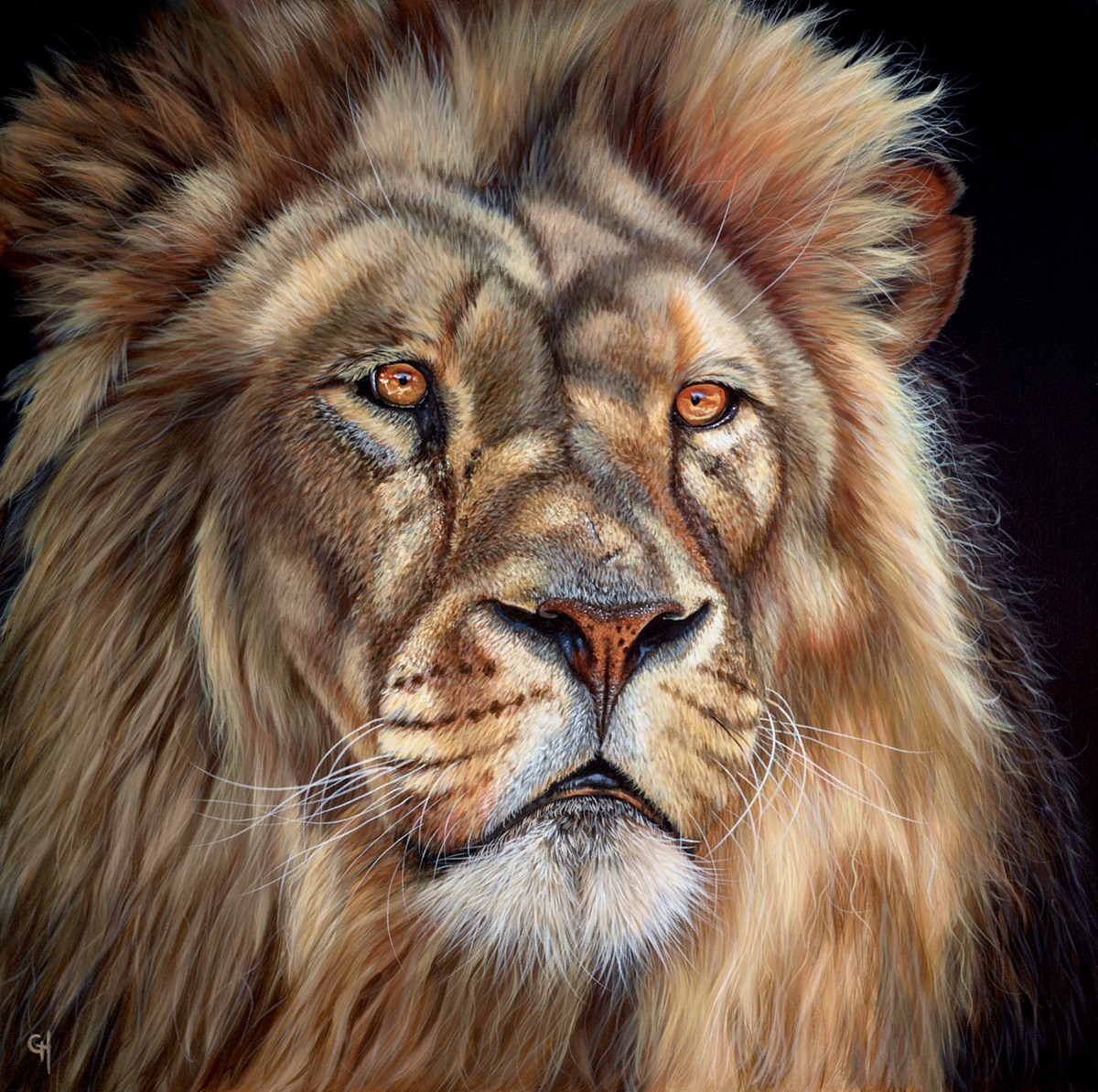 Gina Hawkshaw King of the Jungle Lion on black background in black box frame