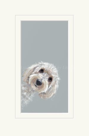 NLT-84F2 Don't Forget Me Nicky Litchfield