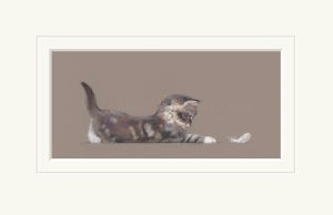 Nicky Litchfield The Feather - kitten playing with feather