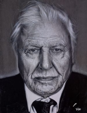 Pete Humphreys original painting of Sir David Attenborough