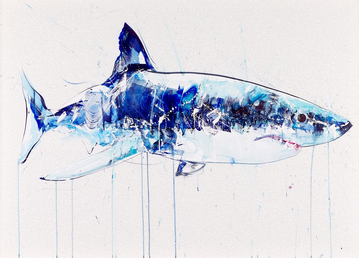 Dave White Great White Shark ZWDT146 unframed