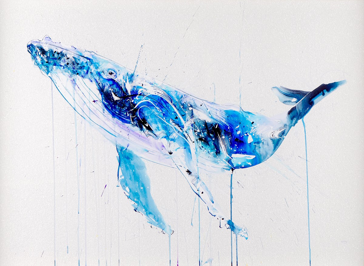 Dave White Humpback Whale ZWT143 unframed