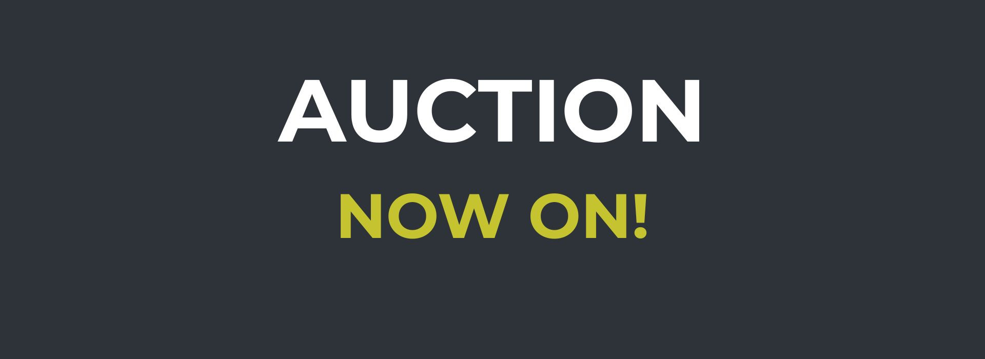 auction (3)