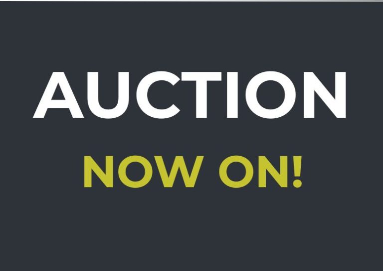 auction (4)